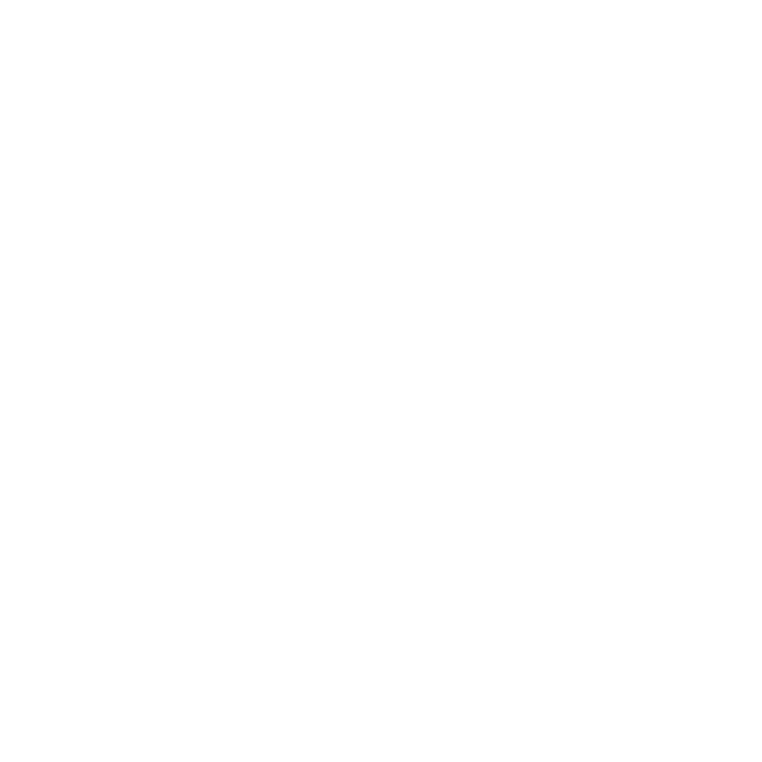 Nata Holding Logo
